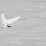 Fot. Katarzyna Kalinowska