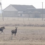 Fot. Katarzyna Kalinowska