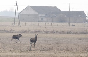 Fot. Katarzyna Kalinowska