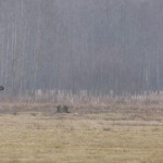 Fot. Katarzyna Kalinowska