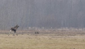 Fot. Katarzyna Kalinowska