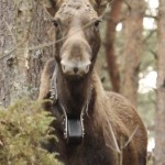 Fot. Katarzyna Kalinowska