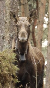 Fot. Katarzyna Kalinowska