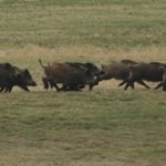 Fot. Katarzyna Kalinowska