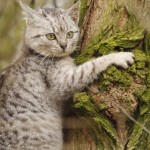 Fot. Katarzyna Kalinowska