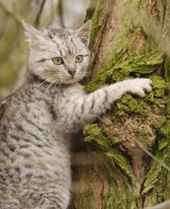 Fot. Katarzyna Kalinowska