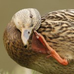 Fot. Katarzyna Kalinowska