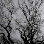 Fot. Małgorzata Marczuk