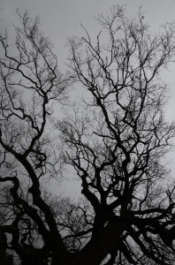 Fot. Małgorzata Marczuk