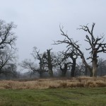 Fot. Małgorzata Marczuk