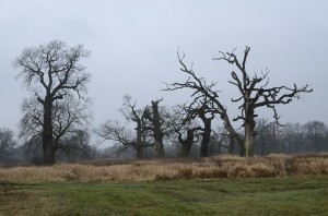 Fot. Małgorzata Marczuk