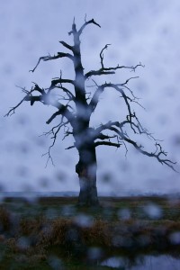 Fot. Marek Przybylski