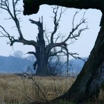 Fot. Marek Przybylski