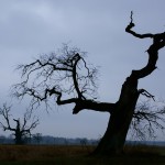 Fot. Marek Przybylski