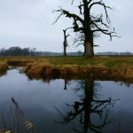 Fot. Marek Przybylski