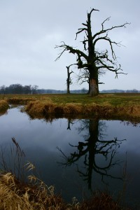 Fot. Marek Przybylski