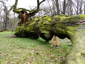 Fot. Marek Przybylski