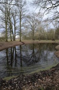 Fot. Małgorzata Marczuk