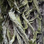 Fot. Małgorzata Marczuk