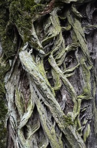 Fot. Małgorzata Marczuk