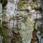 Fot. Małgorzata Marczuk