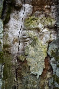 Fot. Małgorzata Marczuk