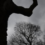 Fot. Małgorzata Marczuk