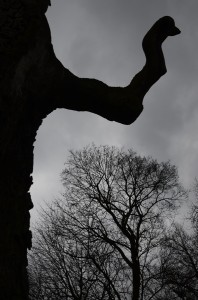 Fot. Małgorzata Marczuk