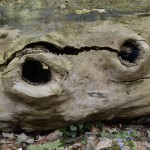 Fot. Małgorzata Marczuk