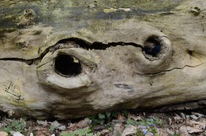 Fot. Małgorzata Marczuk