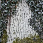 Fot. Małgorzata Marczuk