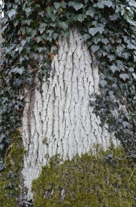 Fot. Małgorzata Marczuk