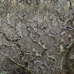 Fot. Małgorzata Marczuk