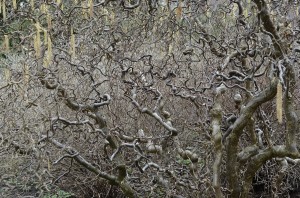 Fot. Małgorzata Marczuk