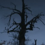 Fot. Magda Szutarska