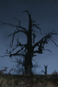 Fot. Magda Szutarska