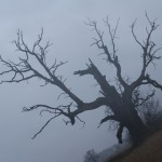 Fot. Magda Szutarska