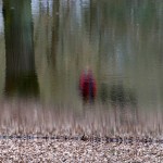 Fot. Magda Szutarska