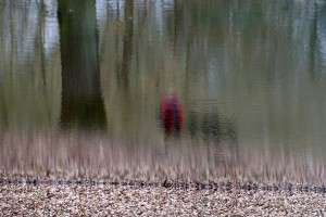 Fot. Magda Szutarska