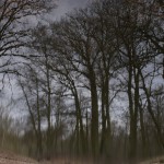 Fot. Magda Szutarska