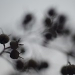 Fot. Magda Szutarska