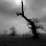 Fot. Marta Wojciechowska