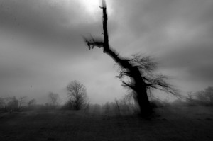 Fot. Marta Wojciechowska