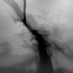 Fot. Marta Wojciechowska