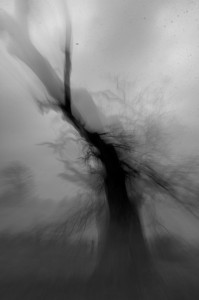 Fot. Marta Wojciechowska