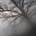 Fot. Marta Wojciechowska