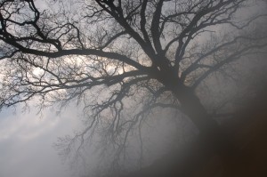 Fot. Marta Wojciechowska