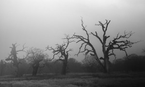 Fot. Marta Wojciechowska