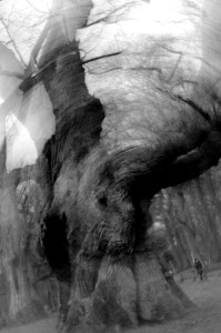 Fot. Marta Wojciechowska