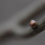 Fot. Marta Wojciechowska